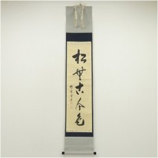 画像1: 大徳寺　小田雪窓（宗甫）筆　「松無古今色」一行書　肉筆紙本掛軸（共箱） (1)