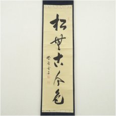 画像2: 大徳寺　小田雪窓（宗甫）筆　「松無古今色」一行書　肉筆紙本掛軸（共箱） (2)