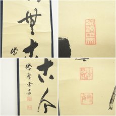 画像6: 大徳寺　小田雪窓（宗甫）筆　「松無古今色」一行書　肉筆紙本掛軸（共箱） (6)