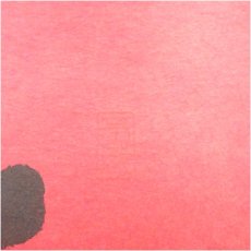 画像3: 大徳寺　前田昌道筆　「彩鳳舞丹霄」一行書　肉筆紙本掛軸（共箱） (3)
