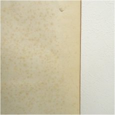 画像5: 色紙掛け (5)