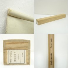 画像8: 大徳寺小林太玄筆　「薫風自南来」横物　肉筆紙本掛軸（共箱） (8)