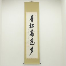 画像1: 善光寺　三浦義薫筆　「青松寿色多」一行書　肉筆紙本掛軸（保護箱） (1)