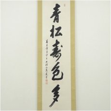 画像2: 善光寺　三浦義薫筆　「青松寿色多」一行書　肉筆紙本掛軸（保護箱） (2)