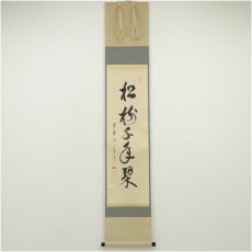 画像1: 黄檗監寺　盛井了道筆「松樹千年翠」一行書　肉筆紙本掛軸（共箱） (1)