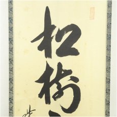 画像3: 大徳寺　藤田寛道筆　「松樹千年翠」一行書　肉筆紙本掛軸（共箱） (3)