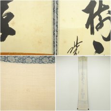 画像8: 大徳寺　藤田寛道筆　「松樹千年翠」一行書　肉筆紙本掛軸（共箱） (8)