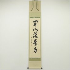 画像1: 前大徳　福本積應筆　「開門落葉多」一行書　肉筆紙本掛軸（共箱） (1)