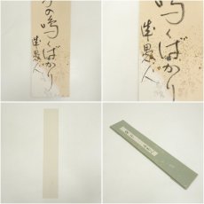画像6: 作家物　俳句　肉筆短冊 (6)