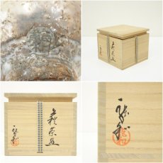 画像7: 萩焼　知足窯　中村龍和造　茶碗（共箱） (7)