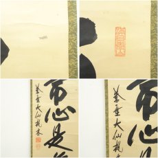 画像7: 大徳寺　尾関桃林筆　「平常心是道」一行書　肉筆紙本掛軸（共箱） (7)