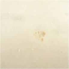 画像5: 真言宗　網代智等筆　「弄花香満衣」一行書　肉筆紙本掛軸（共箱） (5)
