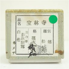 画像5: 影林宗篤造　竹茶杓（銘：松籟）（前大徳　福本積應書付）（共箱） (5)