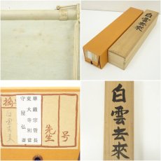 画像10: 東大寺　守屋弘斎筆　「白雲去来」一行書　肉筆紙本掛軸（共箱） (10)