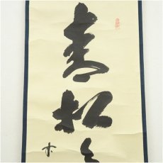 画像3: 前大徳　藤井誡堂筆　「青松多寿色」一行書　肉筆紙本掛軸（共箱） (3)