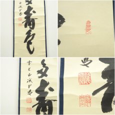 画像6: 前大徳　藤井誡堂筆　「青松多寿色」一行書　肉筆紙本掛軸（共箱） (6)
