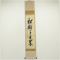 画像1: 大徳寺　尾関桃林筆　「松樹千年翠」一行書　肉筆紙本掛軸（共箱） (1)
