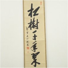 画像2: 大徳寺　尾関桃林筆　「松樹千年翠」一行書　肉筆紙本掛軸（共箱） (2)