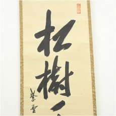画像3: 大徳寺　尾関桃林筆　「松樹千年翠」一行書　肉筆紙本掛軸（共箱） (3)