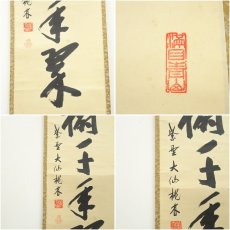 画像6: 大徳寺　尾関桃林筆　「松樹千年翠」一行書　肉筆紙本掛軸（共箱） (6)