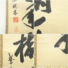 画像7: 大徳寺　尾関桃林筆　「松樹千年翠」一行書　肉筆紙本掛軸（共箱） (7)