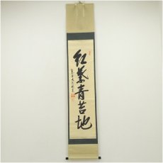 画像1: 大徳寺　尾関桃林筆　「紅葉青苔地」一行書　肉筆紙本掛軸（共箱） (1)