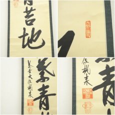 画像6: 大徳寺　尾関桃林筆　「紅葉青苔地」一行書　肉筆紙本掛軸（共箱） (6)