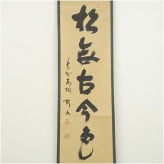 画像2: 大徳寺　松長剛山筆　「松無古今色」一行書　肉筆紙本掛軸（共箱） (2)