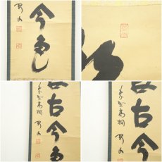 画像6: 大徳寺　松長剛山筆　「松無古今色」一行書　肉筆紙本掛軸（共箱） (6)