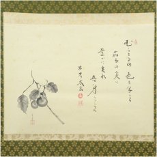 画像2: 大徳寺　小林太玄筆　自詠短歌　宗峯筆　茄子画賛　肉筆紙本掛軸（共箱） (2)