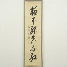 画像2: 大徳寺　方谷浩明筆　「柳不緑花不紅」一行書　肉筆紙本掛軸（保護箱） (2)