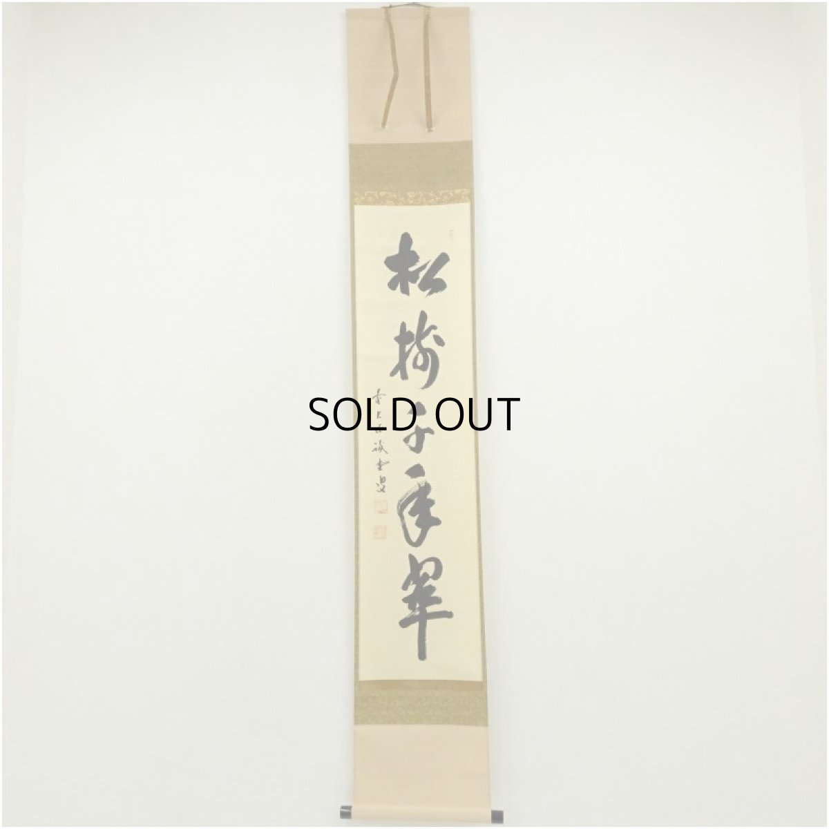 画像1: 前大徳　藤井誡堂筆　「松樹千年翠」一行書　肉筆紙本掛軸（共箱） (1)