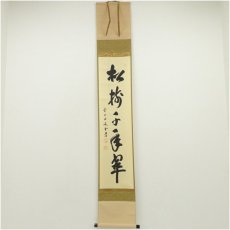 画像1: 前大徳　藤井誡堂筆　「松樹千年翠」一行書　肉筆紙本掛軸（共箱） (1)