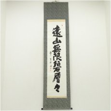 画像1: 南宗寺　佐藤一耕（坐雲洞）筆　「遠山無限碧層々」一行書　肉筆紙本掛軸（共箱） (1)