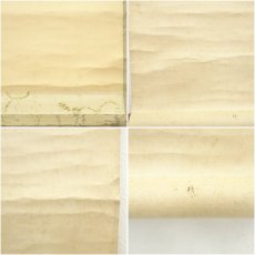 画像8: 大徳寺　小田雪窓（宗甫）筆　「本来無一物」一行書　肉筆紙本掛軸（保護箱） (8)