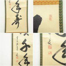 画像6: 前大徳　大橋香林筆　「丹頂千年寿」一行書　肉筆紙本掛軸（共箱） (6)