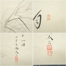 画像6: 大徳寺　小林太玄筆　「月　玉一団」秋光筆　すすき画賛　肉筆紙本掛軸（共箱） (6)