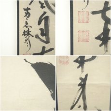 画像7: 妙心寺派　大林宗玄筆　「薫風自南来」一行書　肉筆紙本掛軸（共箱） (7)