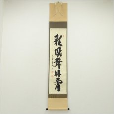 画像1: 大徳寺　長谷川寛州筆　「「彩鳳舞丹霄」一行書　肉筆紙本掛軸（共箱） (1)