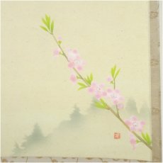 画像3: 前大徳　矢野一甫（海渕）筆　「笑春風」横物　桜画賛　肉筆紙本掛軸（共箱） (3)