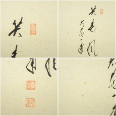 画像6: 前大徳　矢野一甫（海渕）筆　「笑春風」横物　桜画賛　肉筆紙本掛軸（共箱） (6)