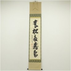 画像1: 大徳寺　長谷川寛州筆　「青松多寿色」一行書　肉筆紙本掛軸（共箱） (1)
