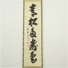 画像2: 大徳寺　長谷川寛州筆　「青松多寿色」一行書　肉筆紙本掛軸（共箱） (2)