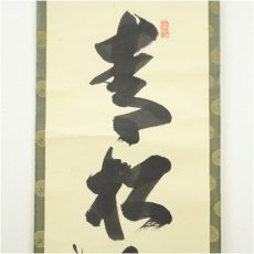 画像3: 大徳寺　長谷川寛州筆　「青松多寿色」一行書　肉筆紙本掛軸（共箱） (3)