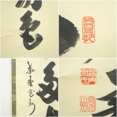 画像6: 大徳寺　長谷川寛州筆　「青松多寿色」一行書　肉筆紙本掛軸（共箱） (6)