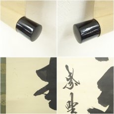 画像7: 大徳寺　長谷川寛州筆　「青松多寿色」一行書　肉筆紙本掛軸（共箱） (7)