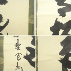 画像8: 大徳寺　長谷川寛州筆　「青松多寿色」一行書　肉筆紙本掛軸（共箱） (8)