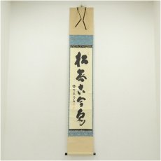 画像1: 大徳寺　細合喝堂筆　「松無古今色」一行書　肉筆紙本掛軸（共箱） (1)