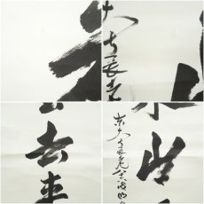 画像8: 東大寺　狭川明俊筆　「雲去来山不動」一行書　肉筆紙本掛軸（共箱） (8)