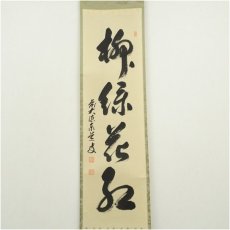 画像2: 前大徳　足立泰道筆　「柳緑花紅」一行書　肉筆紙本掛軸（共箱） (2)